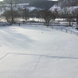 IMG-20210210-WA0026
