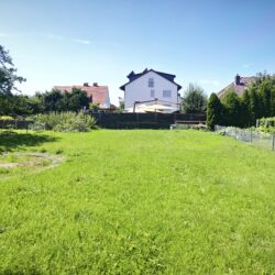IMG_20240729_135323