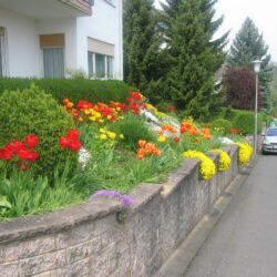 Vorne 2