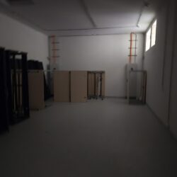20250304_112328