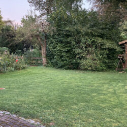 AdE_20240907_3005_©fk+hd1440